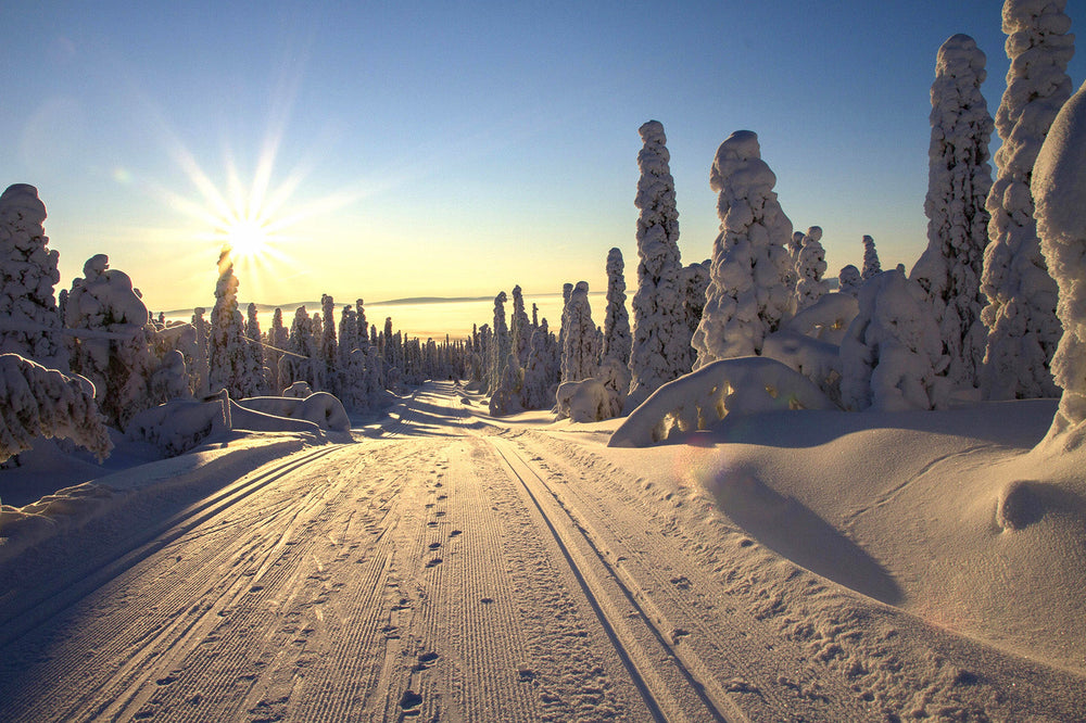 Best Destinations for Christmas Getaway with Kids